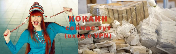прущие крисы Ельня