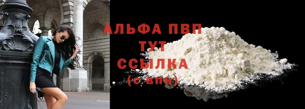 прущие крисы Ельня