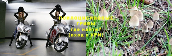 прущая мука Елизово