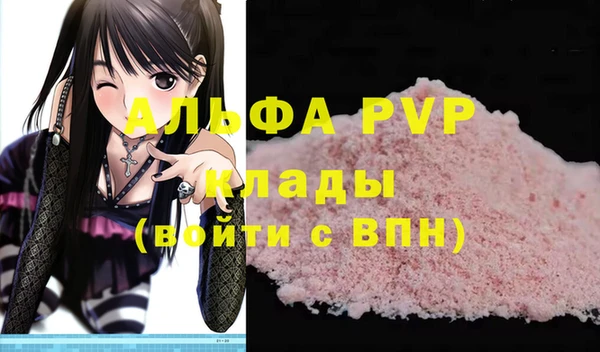 прущие крисы Ельня