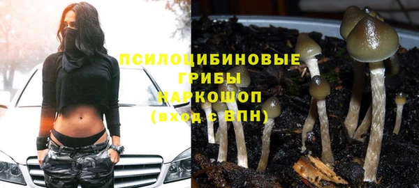прущие крисы Ельня