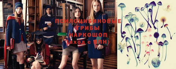 прущие крисы Ельня