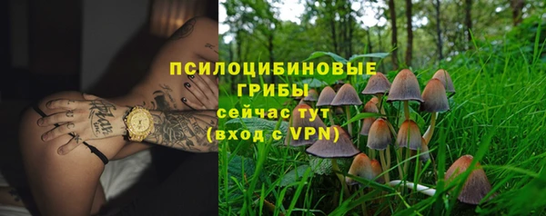 прущая мука Елизово