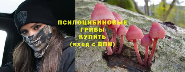 прущая мука Елизово