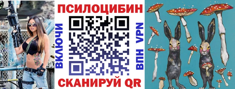 Купить  Зеленокумск  Псилоцибиновые грибы мицелий 